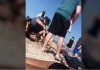 Polici “bombardon” me grushta vajzën në plazh, videoja bëhet virale