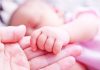 Një anëtare e re në familjen mbretërore