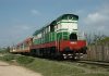 Aksident në dalje të Rrogozhinës, treni i merr jetën 81-vjeçarit teksa kalonte shinat