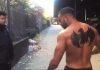 VIDEO/ Gjermanët tallen keq me shqiptarët: mendjemëdhenjtë, gati për sherr