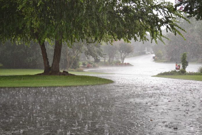 rain-05ytjnr56ujh56uj56u56-85712
