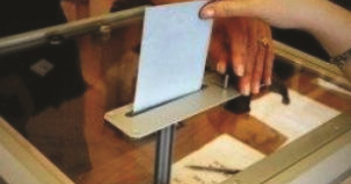 voto11