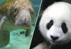 Ekspertët përhapin alarmin/ Për herë të parë, më shumë se 100 mijë specie në zhdukje