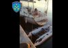 VIDEO/ U kap në Greqi me 1 tonë drogë, Veliera e mori ngarkesën në Shqipëri