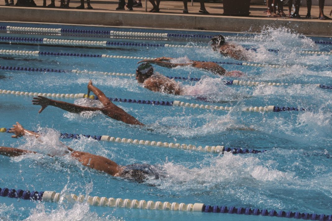 Sporti/ Kupa e Shqipërisë në not Gazeta Telegraf