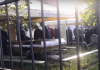 Tragjedia/ Sot ceremonia e lamtumirës për 10 anëtarët e dy familjeve në Thumanë