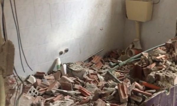 aloe-vera-2-50-600x360