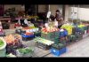 Koronavirusi/“Çmenden” çmimet në Berat, 320 lekë 1 kg limon, ja sa shiten dezinfektantët dhe maskat! Boshatisen rrugët e qytetit