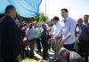 Basha në Rrogozhinë: RAMAVIRUSI e ka çuar drejt katastrofës situatën e fermerëve!