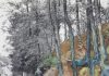 Zbulohet vendi se ku u realizua piktura e fundit e Van Gogh