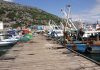 Katër emigrantë sirianë në Portin e Shëngjinit, tentojnë të ngjiten në një anije mallrash