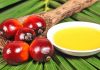 Vaji i palmës tek produktet e bulmetit po helmon shqiptarët