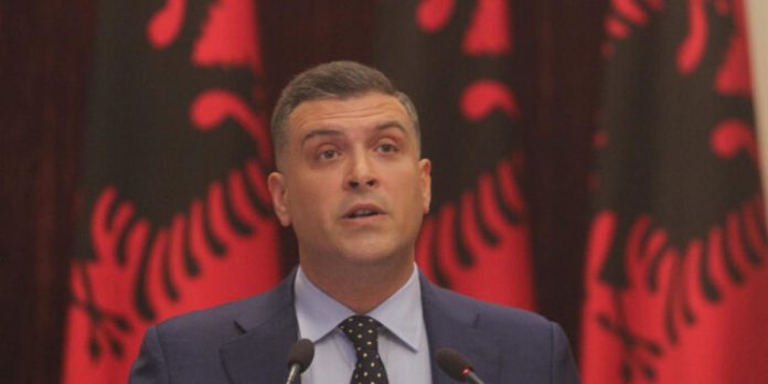 Tedi-750x375