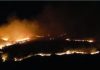 Gjirokastër/ Zjarri përfshin ullishten, flakët përhapen me shpejtësi