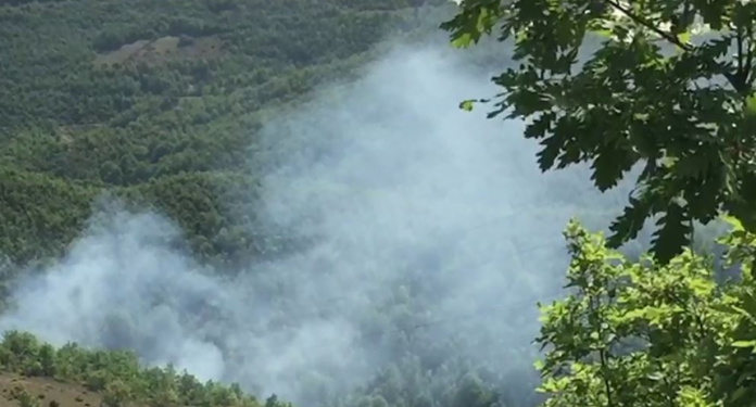 zjarr-9