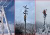 Moti i keq/ Era e fortë rrëzon lisin në Kukës, dhjetëra familje pa energji elektrike