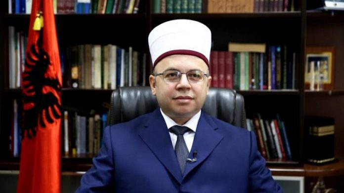 auto_Brucaj11642786830