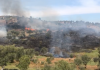 Zjarr i madh në zonën e Pusit të Mezinit në Vlorë, digjen dhjetëra ullinj dhe pemë, flakët pranë banesave
