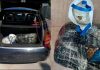 Sekuestrohen mbi 7 kg kanabis në Vlorë, arrestohet 21-vjeçari