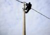 U godit nga rrufeja më pas ra në korrent, niset me urgjencë drejt Tiranës elektriçisti nga Burreli