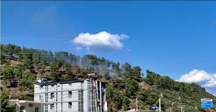 Aktivizohen dy vatra zjarri në Elabasan, digjen sipërfaqe të tëra me ullinj