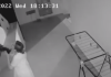Pamje të rënda! Vajza puth kotelen, më pas e përplas me fuqi te shkallët e pallatit në Tiranë