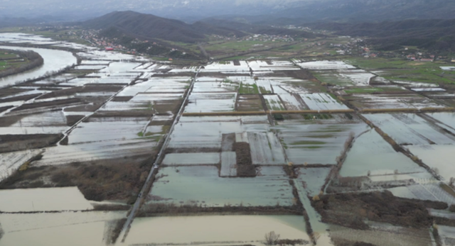 Përmbytja nga reshjet në Shkodër, 500 hektarë tokë mbeten ende nën ujë
