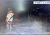 Parcelë me kanabis në Malësinë e Madhe, arrestohen tre persona, shpallet në kërkim roja