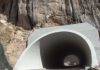 Shkërmoqet për të tretin vit propaganda, rruga e Arbrit e pakalueshme nga ngricat, koncesionari Gjoka s’ka hedhur kripë