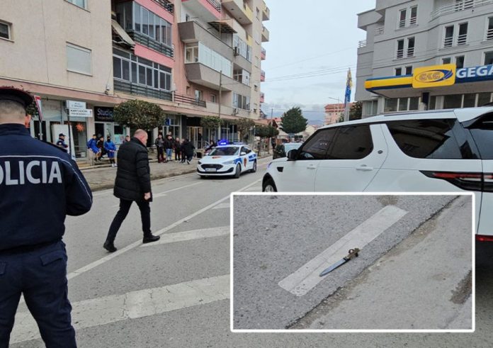auto_plagosja_pogradec_21709309884