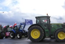 Mbi 7 muaj pa dëmshpërblim, fermerët e Maliqit paralajmërojnë protesta