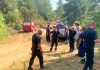 Zjarri përfshin pyllin e Bodës në Maliq, forcave zjarrfikëse u vjen në ndihmë dhe ushtria për shuarjen e flakëve