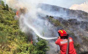 Aktivizohet një vatër zjarri në Parkun e Tomorit, terreni vështirëson punën për shuarjen e flakëve!