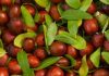 Janë frut i këtij sezoni, zbuloni tri vlerat më të mira të hideve për trup të shëndetshëm