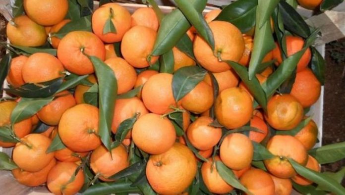 auto_-640-0-mandarina-2971740594182