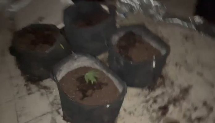 auto_dddfdf1740044224