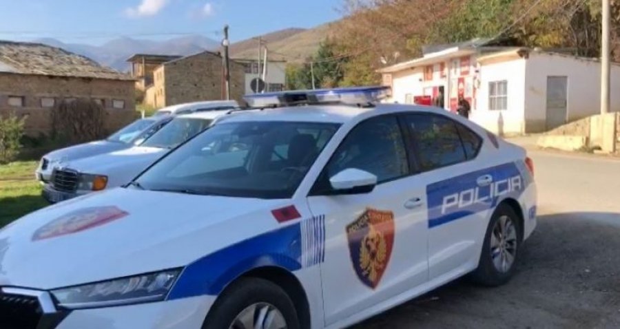Pogradec  Shiste lëndë narkotike në doza  arrestohet 64 vjeçarja  shpallet në kërkim djali i saj