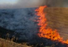 Zjarret bëjnë “kërdinë, përpijnë mbi 2,300 hektarë në Shqipëri, 18 vatra të mëdha! Mbi 77 milionë euro dëme
