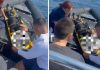 Dy mjete lundruese përplasen me njëra-tjetrën në gjirin e Kakomesë, plagosen tre turistë