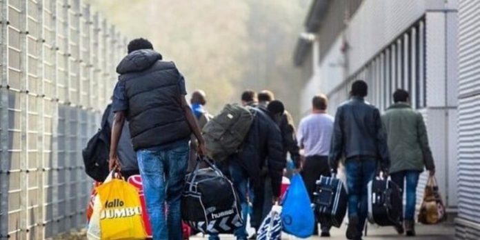 900-0-1729539120x640-0-emigrantet-1729534236-685-750x375