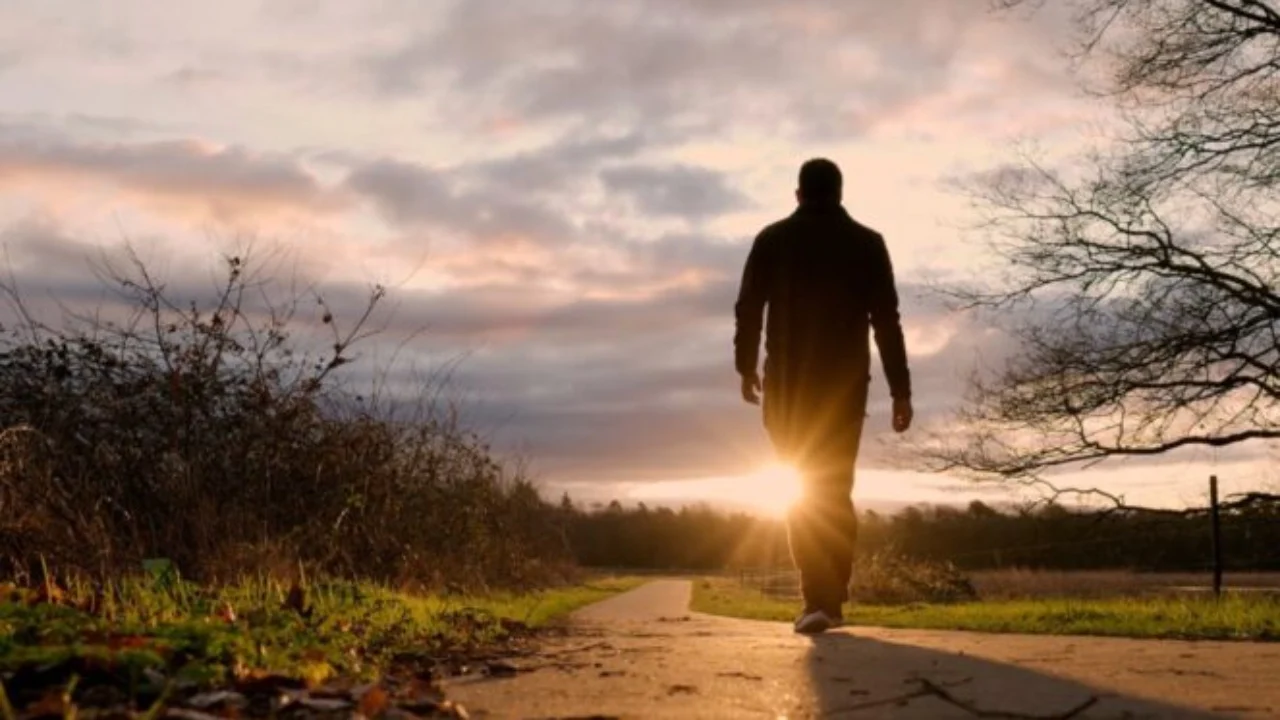 Ecja 30 minuta në ditë   ilaçi  më i nënvlerësuar për zemrën dhe trurin