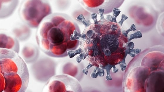 Kura që lufton të gjitha tumoret në organizëm