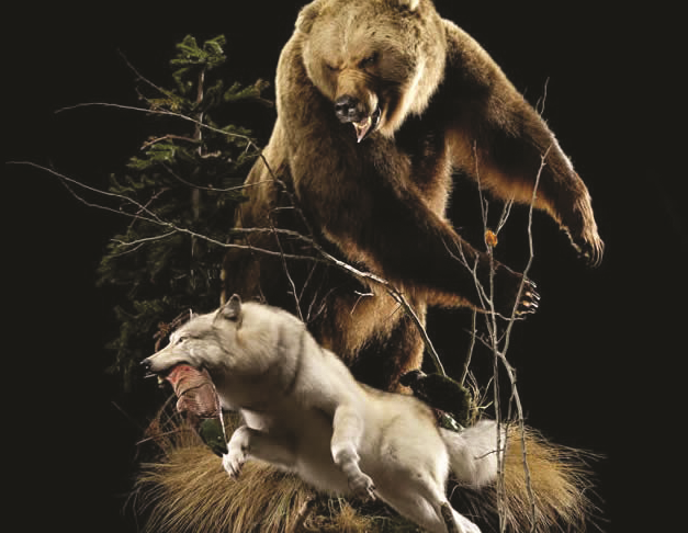 Suplementi Pena Shqiptare  Ferit Shqefni  Ujku dhe ariu   Banorët e rinj  të fshatit  