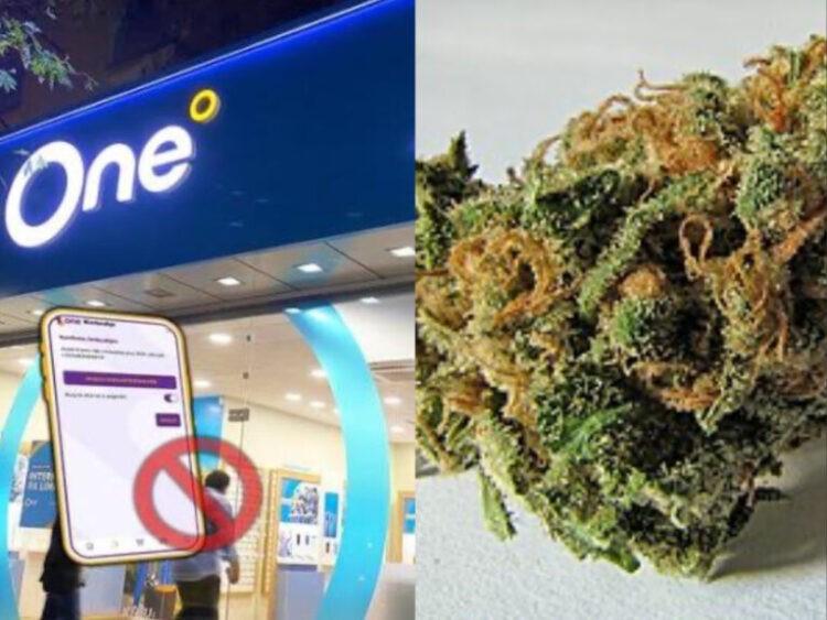 Nga zyrat në qeli  Dy drejtorë të One Albania arrestohen për drogë