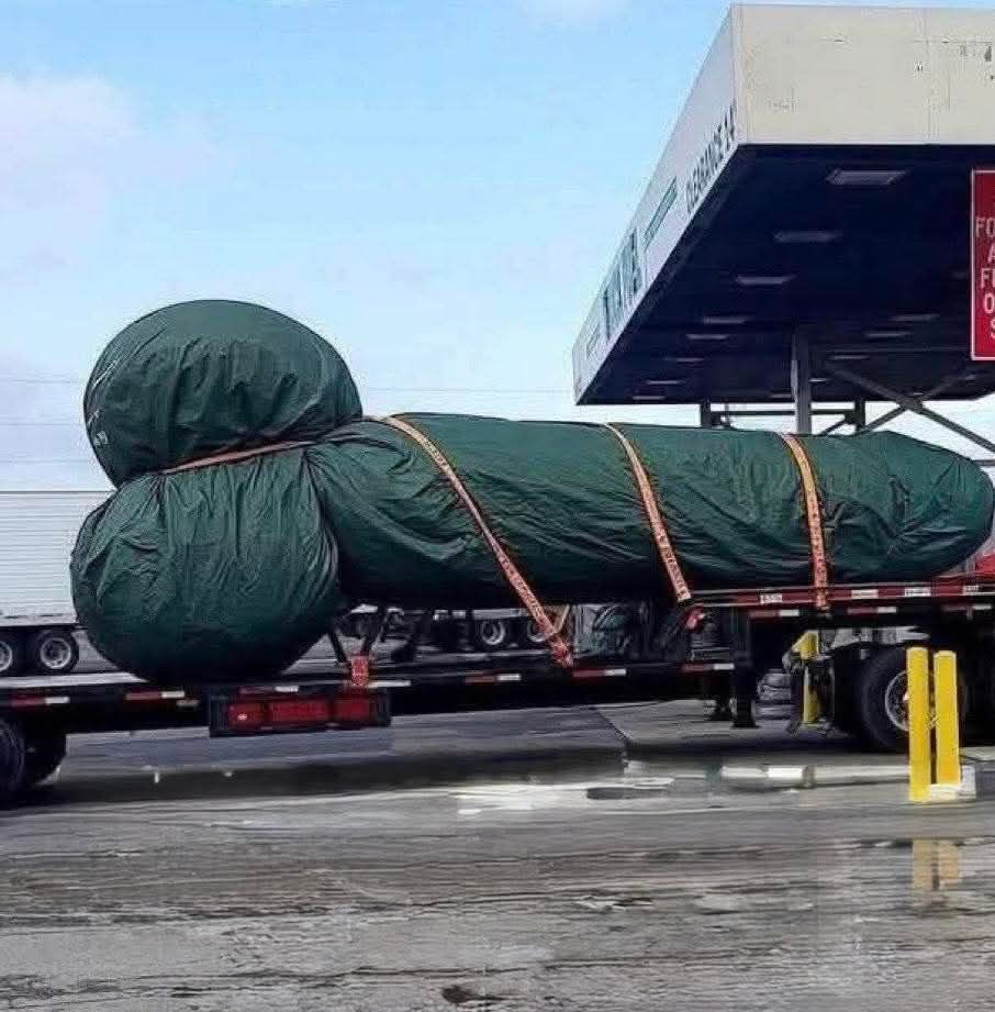 Paparaci  Xhaxho Plaku   Festo Vlorë të tundet Kota  se të erdhi manikota 