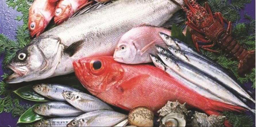 Projektvendimi për peshkimin  rregulla të reja për organizatat e prodhuesve  planet dhe etiketimin