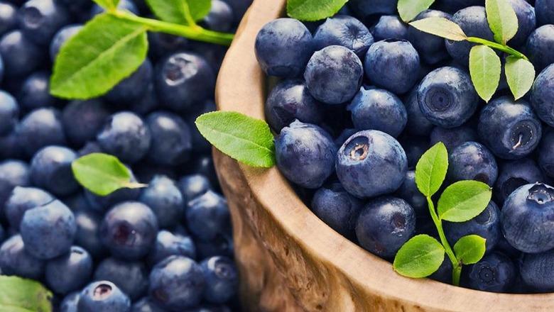 6 ushqimet që forcojnë shëndetin e zemrës