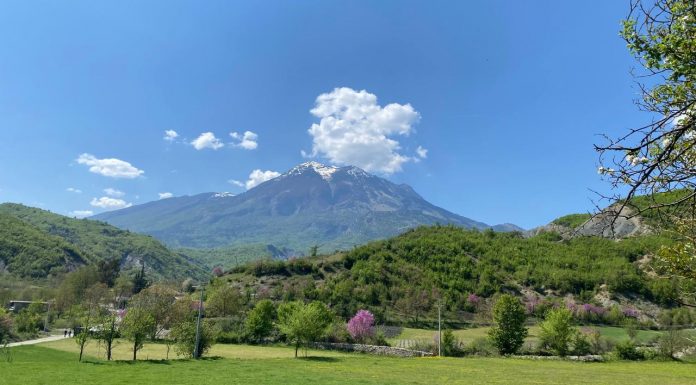 Parashikimi i motit për sot  26 shkurt 2026