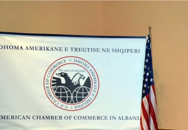 SHBA shkund qeverinë për kaosin me e Albania