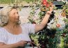 Suplementi Pena Shqiptare/ Emine S. Hoti: Mollët e bahçes sime